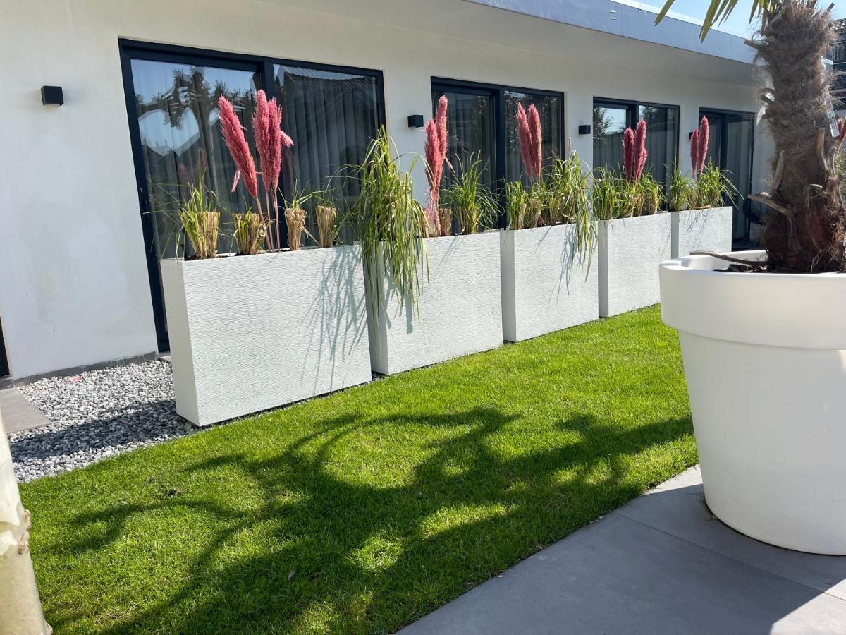 B&B Bubbles&Bites Oostvoorne Exteriör bild